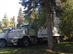 Tall Pine Drilling Ltd