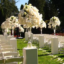 Tala Florist