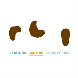 Research Casting International Ltd
