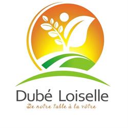 Dube & Loiselle Inc