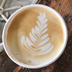 Cowpuccino S Coffee House