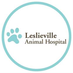Leslieville Animal Hospital