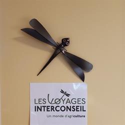 Interconseil Inc