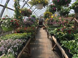 Lavender Hill Nursery
