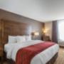 Guest room with king bed Guest room with king bed