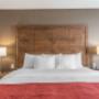 Guest room with king bed Guest room with king bed