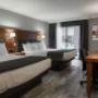 Queen room Queen room