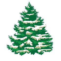 Cedar Hill Christmas Tree Farm