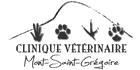 Clinique Veterinaire Mont Saint Gregoire