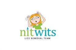 Nitwits Lice Removal Team