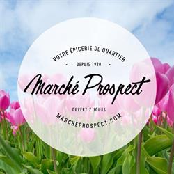 Marche Prospect Axep