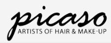 Picaso Studios Academy Of Lrng.