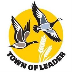 Town Of Leader Library