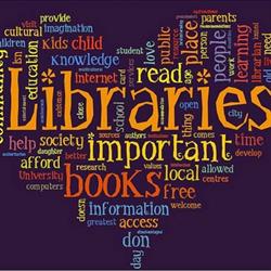 Foam Lake Library