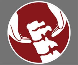 Centre Chiropratique Spécifique de Trois-Rivières