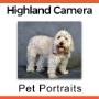 Our customers come in all shapes and sizes! Call now to book an appointment for your family or pet portrait! Our customers come in all shapes and sizes! Call now to book an appointment for your family or pet portrait!