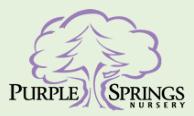 Purple Springs Nursery