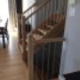 Photo Photo