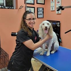 Petstyles Plus