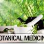 Botanical Medicine Botanical Medicine