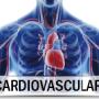 Cardinovascular Health Cardinovascular Health