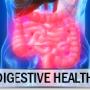 Digestive Health Digestive Health