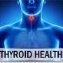 Thyroid Health Thyroid Health