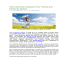 Feeling Burned Out - Take A Look At Your Adrenal Glands