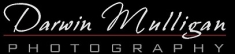 Darwin Mulligan Photography | Weddings Portraits