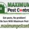 Maximum-Pest-Control