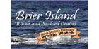 Brier Island Whale & Seabird Cruises Ltd