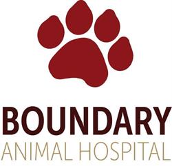 Boundary Animal Hospital in Burnaby