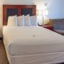 Suite Suite
