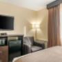 Guest room with queen bed(s) Guest room with queen bed(s)