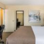 King suite King suite