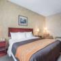 Guest room with king bed Guest room with king bed