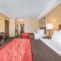 Guest room with two beds Guest room with two beds