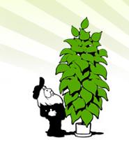 Overgrown Hydroponics in Barrie