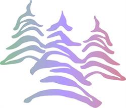 Friends of Riding Mountain National Park