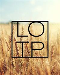 Light Of The Prairies
