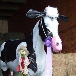 Trading Post Feed & Tack Ltd, The