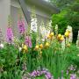 There are two full time gardeners at 1000 Islands Ivy Lea KOA campground, just to keep the abundant flower beds beautiful for our guests. There are two full time gardeners at 1000 Islands Ivy Lea KOA campground, just to keep the abundant flower beds beautiful for our guests.