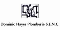 Dominic Hayes Plomberie Inc