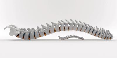 Vancouver-Chiropractor