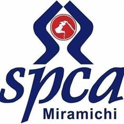 Spca-Miramichi