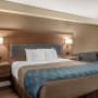 Guest room with king bed(s) Guest room with king bed(s)