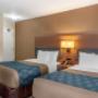 Guest room with two beds Guest room with two beds
