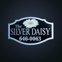 Silver Daisy, The