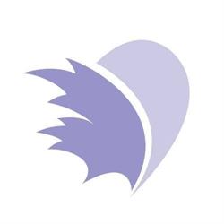 Pulmonary Hypertension Assn Of Canada