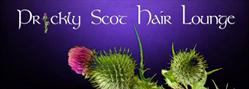 Prickly Scot Hair Lounge